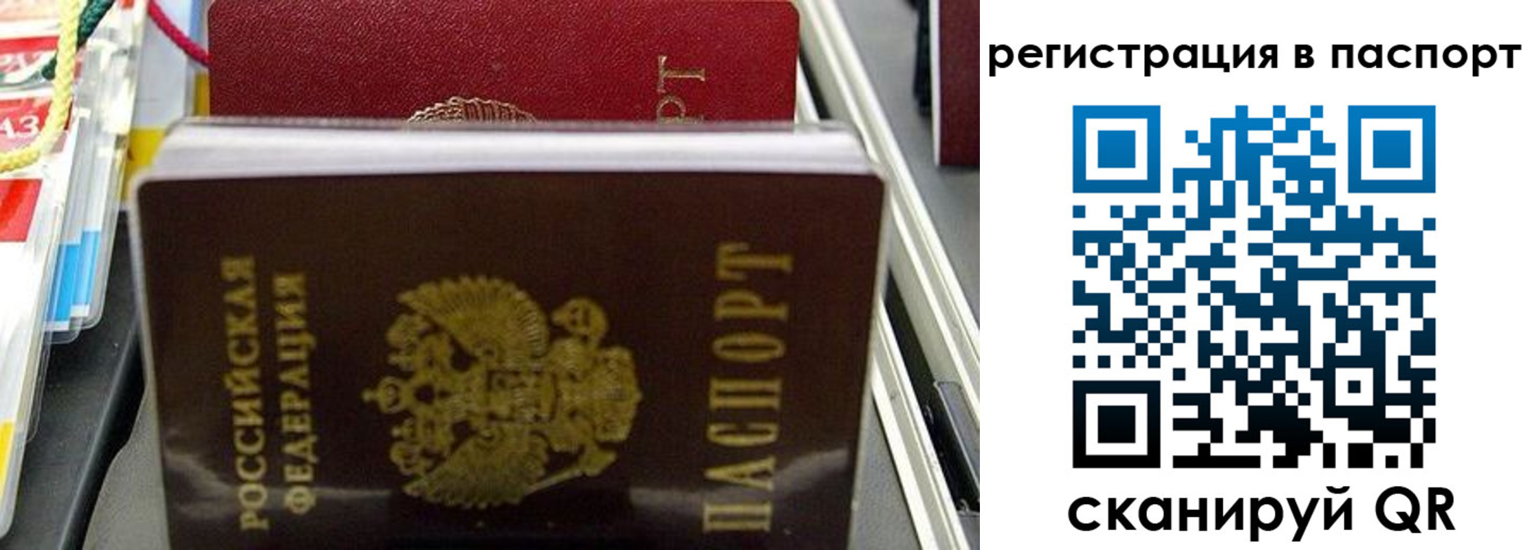 прописка для школы в Юрьев-Польском